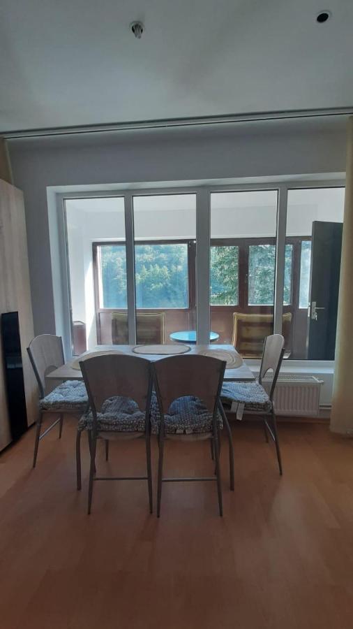 Monik Apartament Sinaia Dış mekan fotoğraf