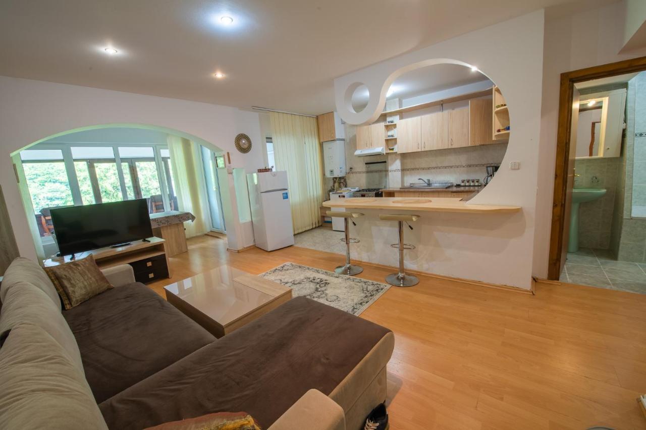 Monik Apartament Sinaia Dış mekan fotoğraf
