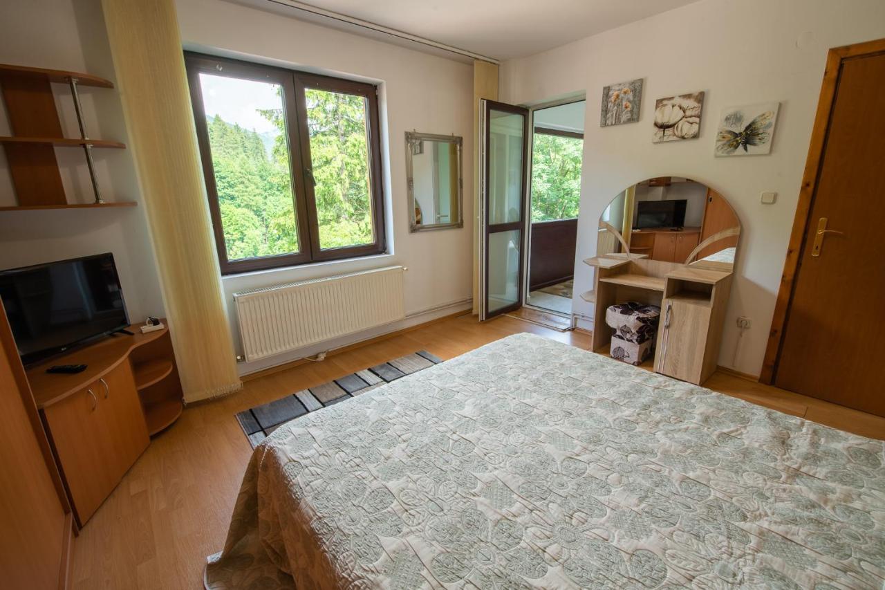 Monik Apartament Sinaia Dış mekan fotoğraf