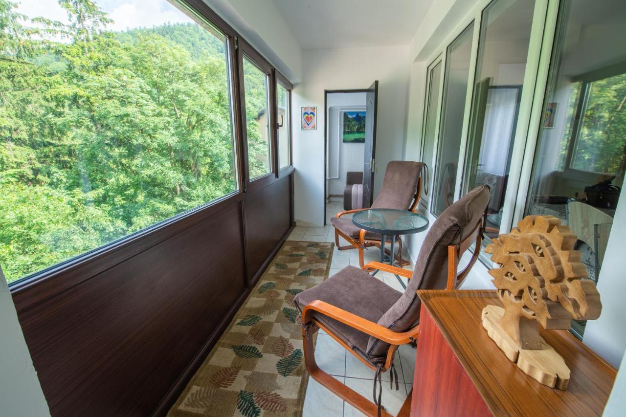 Monik Apartament Sinaia Dış mekan fotoğraf