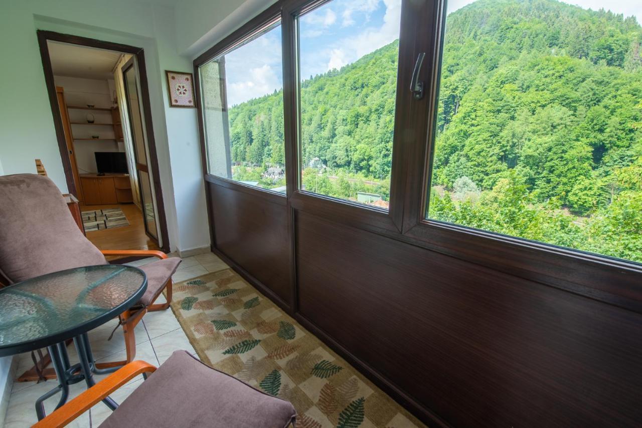 Monik Apartament Sinaia Dış mekan fotoğraf