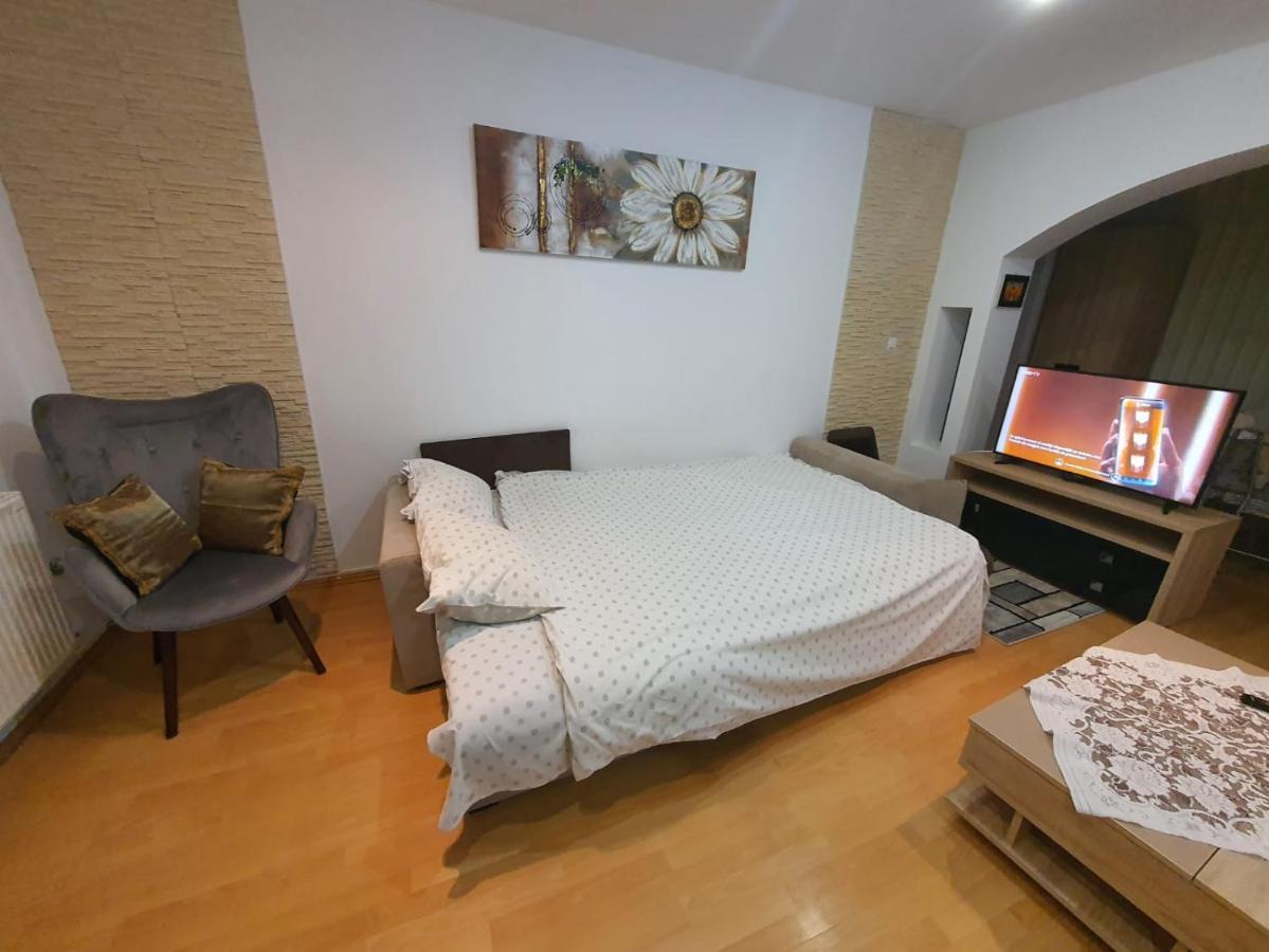 Monik Apartament Sinaia Dış mekan fotoğraf